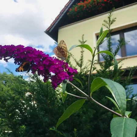 Gastezimmer Koch Homestay szállás Vollradisroda